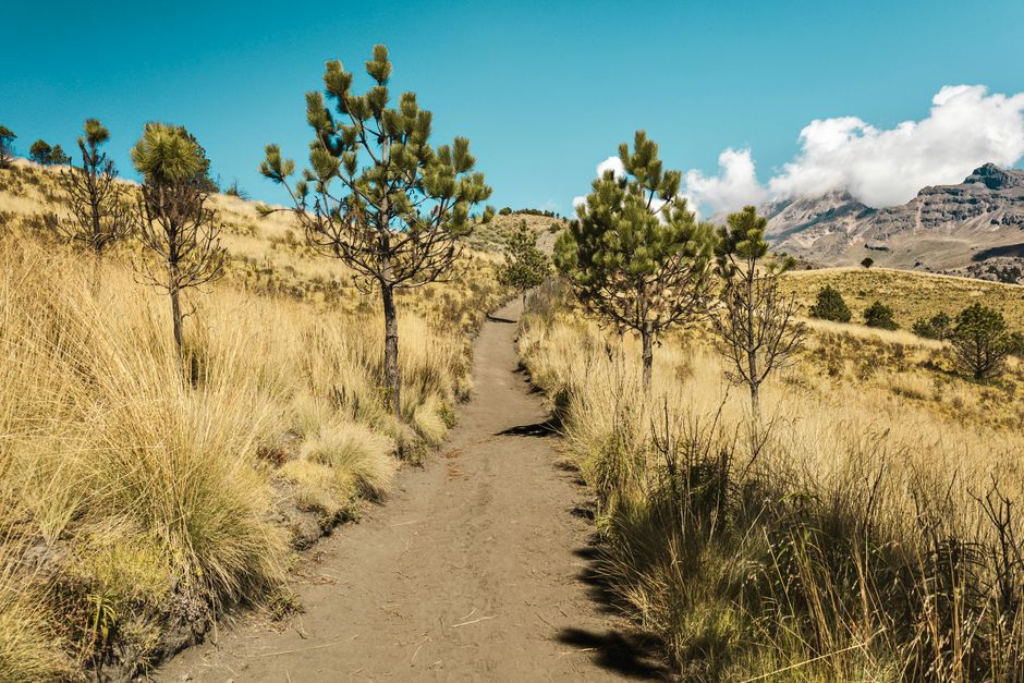 A Balanced Approach To Wellness: Myths and Facts