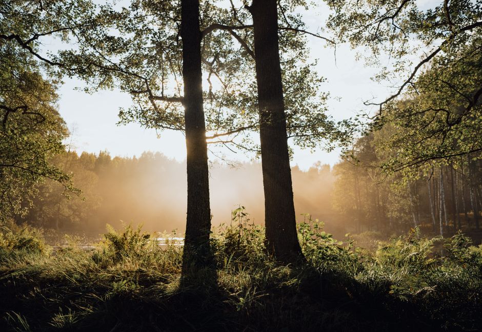 Habits: How They Actually Form as the Years Add Up, in Plain Language